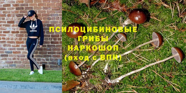 ALPHA-PVP Осташков