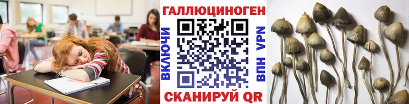 купить наркотик  Солнечногорск  Псилоцибиновые грибы Magic Shrooms 