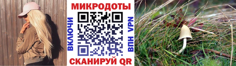 Псилоцибиновые грибы прущие грибы Солнечногорск