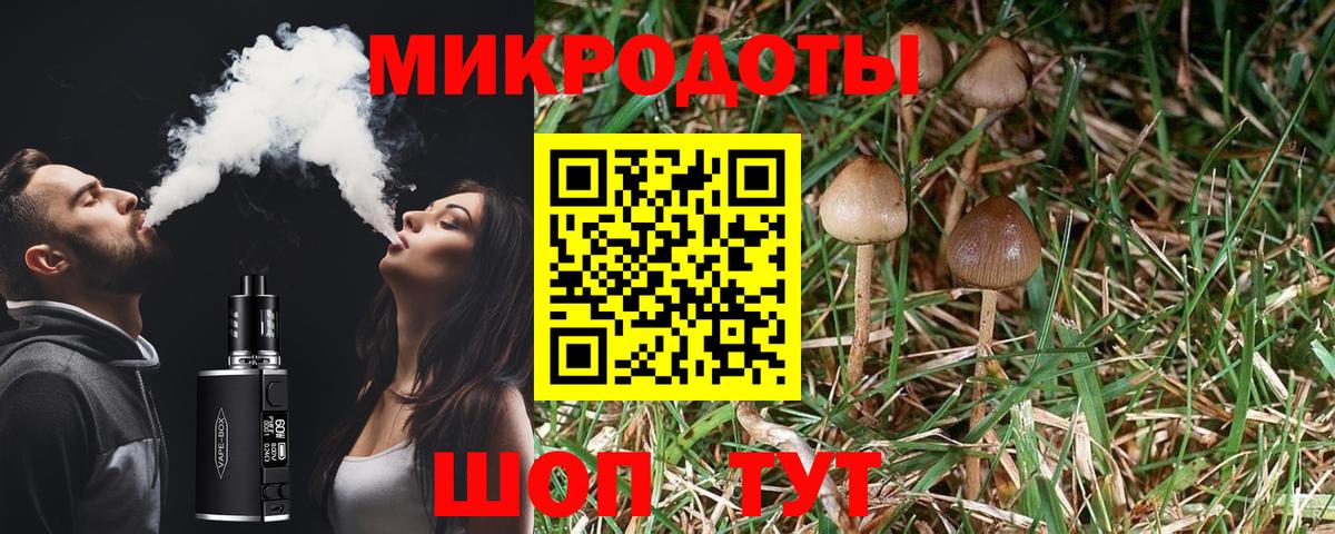 Галлюциногенные грибы прущие грибы Солнечногорск