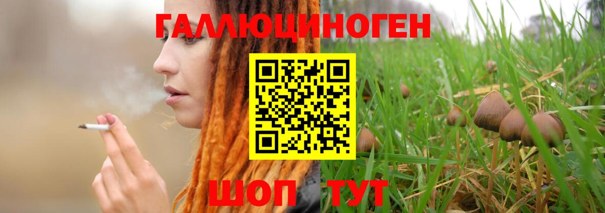 Солнечногорск  Псилоцибиновые грибы MAGIC MUSHROOMS  Вход с VPN  Галлюциногенные грибы Cubensis 